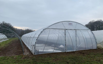 Réalisation Tunnel G2000 – 8.00m